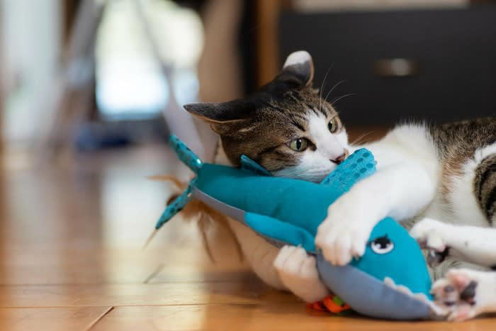 猫のイタズラは“問題行動”ではなく“自然な行動”, 猫のイタズラをやめさせる方法7選, 1.やってほしくない場所を物理的に防ぐ, 2.代わりになる“正しい遊び場”を用意する, 3.構ってほしくていたずらする場合は無視が有効, 4.スプレー・音・匂いなど猫の苦手な刺激を活用, 5.家具や物の配置を見直す, 6.運動不足・退屈を解消してあげる, 7.生活リズムを整える, 叱るのは逆効果？猫のしつけでNGな対応, 怒鳴る、たたく、大声を出す, 現行犯以外で“後から叱る”, 「やめさせたい行動」と「人間の注目」がセットになる