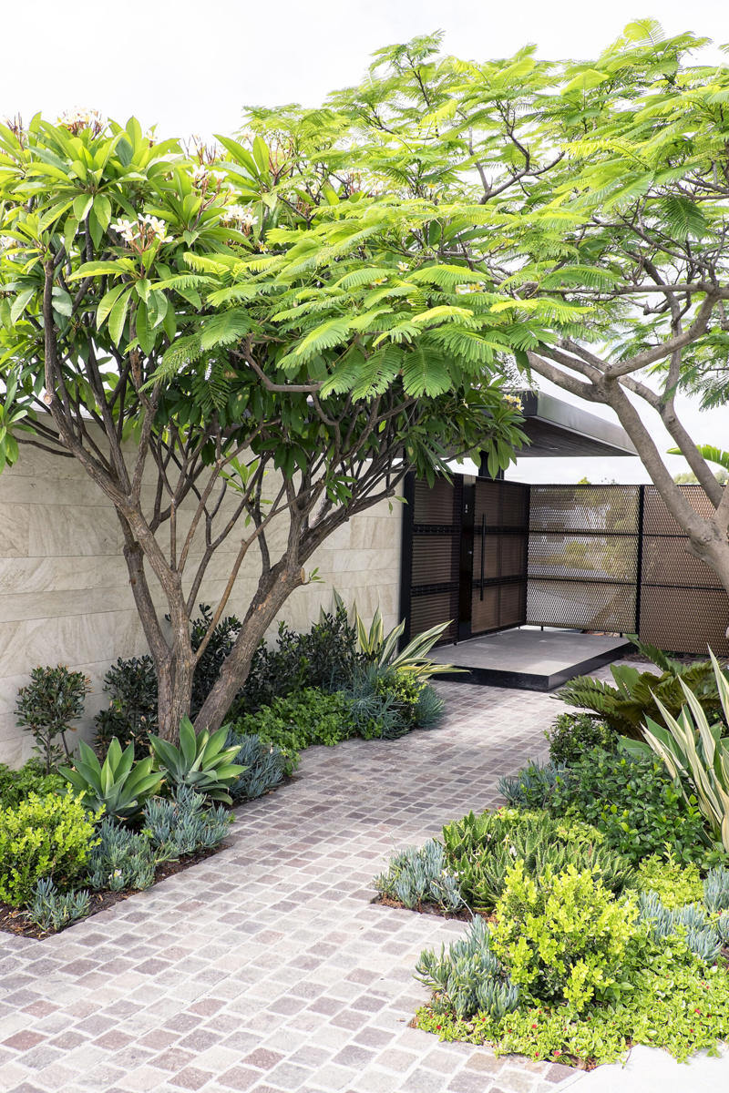 How do you make a small garden nice?, 13 clever small garden design ideas, Screening plants , Use the council verge , Create layers , A plunge pool , Maximise natural light , Mix and match , Plant groundcover , Create a leafy canopy , Diamond climbers , Add statement pot plants , Choose hardy shrubs , Create a tropical garden , Miniature manicured garden , How do you arrange pot plants in a small garden?, What is the cheapest ground cover for a garden?