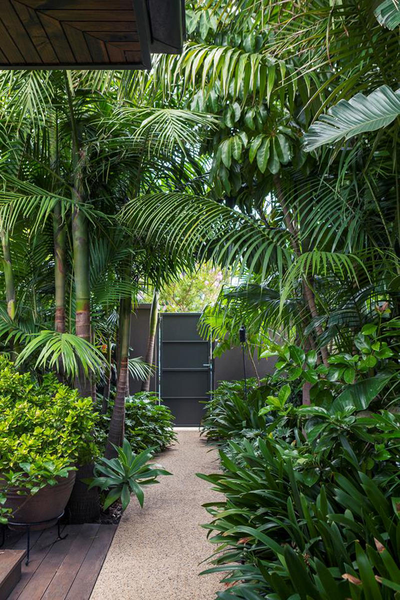 How do you make a small garden nice?, 13 clever small garden design ideas, Screening plants , Use the council verge , Create layers , A plunge pool , Maximise natural light , Mix and match , Plant groundcover , Create a leafy canopy , Diamond climbers , Add statement pot plants , Choose hardy shrubs , Create a tropical garden , Miniature manicured garden , How do you arrange pot plants in a small garden?, What is the cheapest ground cover for a garden?