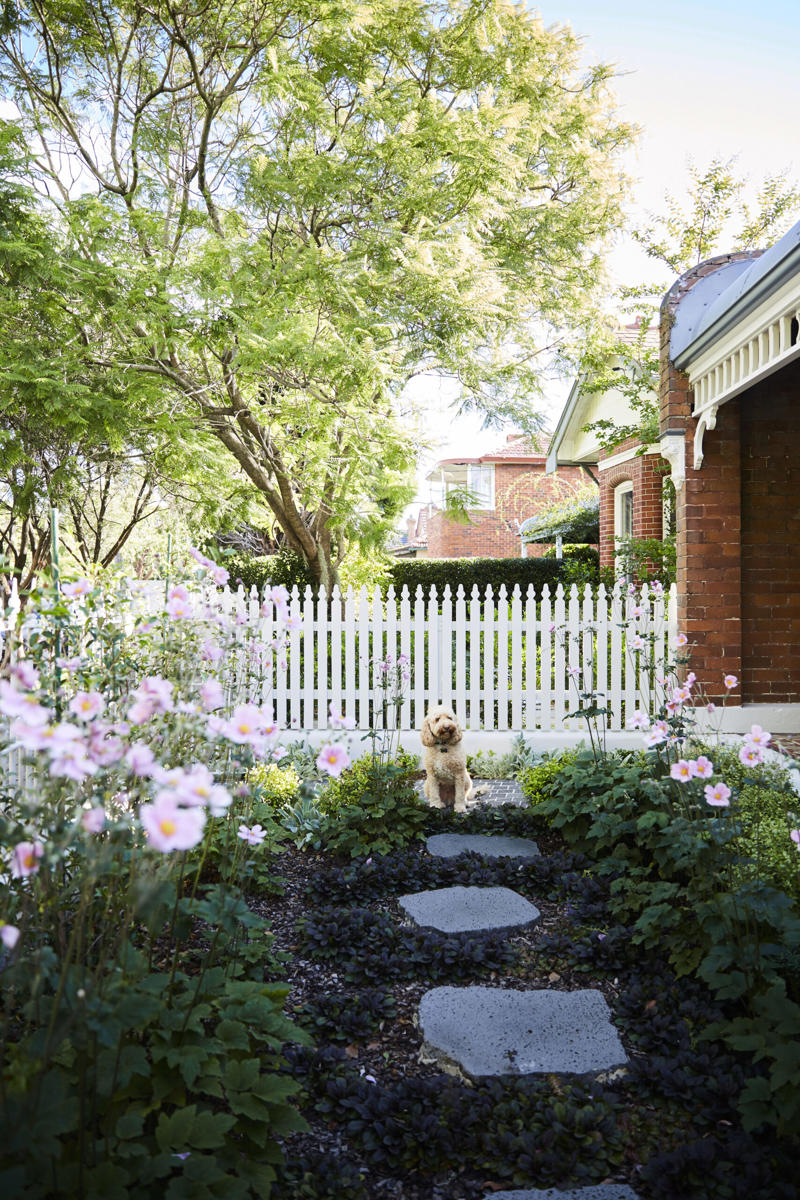How do you make a small garden nice?, 13 clever small garden design ideas, Screening plants , Use the council verge , Create layers , A plunge pool , Maximise natural light , Mix and match , Plant groundcover , Create a leafy canopy , Diamond climbers , Add statement pot plants , Choose hardy shrubs , Create a tropical garden , Miniature manicured garden , How do you arrange pot plants in a small garden?, What is the cheapest ground cover for a garden?