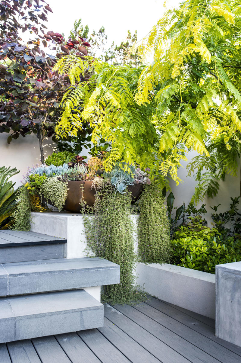 How do you make a small garden nice?, 13 clever small garden design ideas, Screening plants , Use the council verge , Create layers , A plunge pool , Maximise natural light , Mix and match , Plant groundcover , Create a leafy canopy , Diamond climbers , Add statement pot plants , Choose hardy shrubs , Create a tropical garden , Miniature manicured garden , How do you arrange pot plants in a small garden?, What is the cheapest ground cover for a garden?