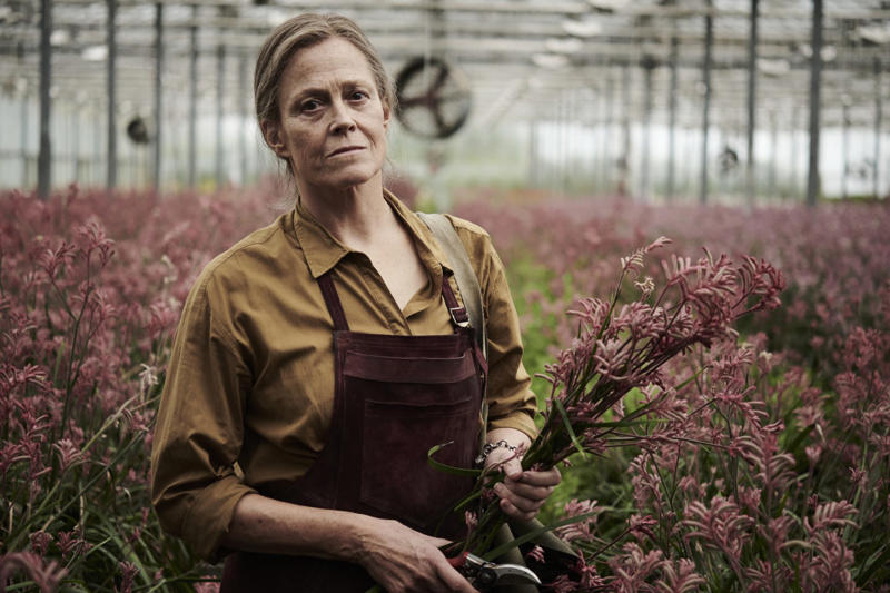 The Lost Flowers of Alice Hart The best of Prime Video, The Wheel of Time, Transparent, The Boys, A League of Their Own, The Lost Flowers of Alice Hart, The Peripheral, The Tick, One Mississippi, Lord of the Rings: Rings of Power, I Love D 1 c k, Red Queen, The Wilds, Mr. & Mrs. Smith, The Marvelous Mrs. Maisel, Mozart in the Jungle, The Devil's Hour, The Underground Railroad, Red Oaks