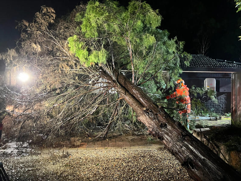 Key Points, Power to most houses to be restored tonight, energy company says, Mapped: Flood watches and warnings today, Entire NSW coastline under coastal hazard warning as dangerous surf continues, Photos: Waterlogging and fallen trees after heavy rain and winds batter NSW, SES responds to thousands of incidents as flash flooding threat grows, Repeated flooding likely to worsen, experts warn, Victoria border communities on watch as storm threatens to shift south, Travel chaos continues as 55 domestic flights cancelled, Low pressure system seen off the coast of NSW, Flood warnings issued for parts of Sydney, Power restored to 30,000 customers, thousands still in the dark, Authorities warn of higher number of emergency calls, What is a ‘bomb cyclone’?, More than 29,000 homes still without power, Severe weather to persist on Wednesday, forecasters say, 140 Sydney flights cancelled amid wild weather; travel insurance warning issued, Which direction is the coastal low heading?, Watch: Coastal residents told to 'evacuate now', Single runway operation begins at Sydney airport, Weather system expected to shift offshore on Wednesday, Qantas cancels arrival celebrations in Sydney for longest commercial flight, Climate change and warm oceans may be fuelling storm intensity, Summary: Here's what you need to know about the storm hitting Australia, Emergency services deployed as storm damage mounts, Over 20 road closures as storm wreaks havoc on NSW transport, Full story: Australia flights cancelled as bomb cyclone hits New South Wales, Power outages climb to 30,000 as storm batters NSW, Video: Wind gusts and large swells in Sydney, Ferries and trains suspended as storm causes major transport chaos in NSW, Mapped: Areas under rainfall and wind warning, Fallen trees spark car crashes on NSW coast, Tens of thousands without power as storm lashes NSW coast, Photos: Large swells seen at beaches, Severe weather to persist tomorrow, easing by Friday, forecasters say, Flights cancelled as storm disrupts Sydney Airport, 'Sheer size' of system is 'enormous', minister says, Emergency evacuations underway on Central Coast as storm batters coastline, 'Stay indoors’ warning as bomb cyclone pummels Australia’s east coast, Sydney Airport down to single runway as winds batter flights