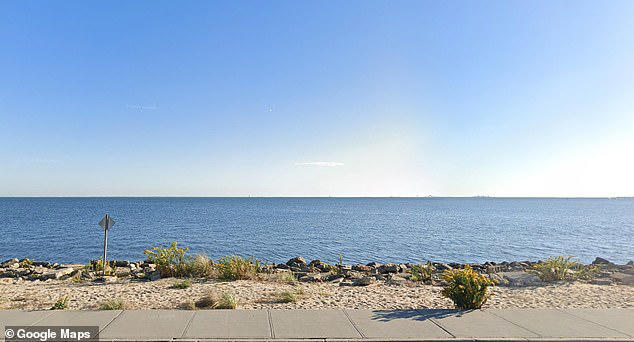 Long Island, New York , Washington, Illinois, Michigan, California , Massachusetts