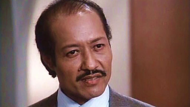 Aki Aleong: Mr. Chiang Sci-fi series of the 80s: 'V', Jane Badler: Diana, Jane Badler after the series, Nicky Katt: Sean Donovan, Nicky Katt after the series, Faye Grant: Julie Parrish, Faye Grant after the series, June Chadwick: Lydia, June Chadwick after the series, Robert Englund: Willie, Robert Englund after the series, Andrew Prine: Steven, Andrew Prine after the series, Marc Singer: Mike Donovan, Marc Singer after the series, Judson Scott: Lieutenant James, Judson Scott after the series, Richard Herd: John, Richard Herd after the series, Michael Wright: Elias Taylor, Michael Wright after the series, Lane Smith: Nathan Bates, Lane Smith after the series, Jeff Yagher: Kyle Bates, Jeff Yagher after the series, Michael Ironside: Ham Tyler, Michael Ironside after the series, Jennifer Cooke: Elizabeth, Jennifer Cooke after the series, Blair Tefkin: Robin Maxwell, Blair Tefkin after the series, Aki Aleong: Mr. Chiang, Aki Aleong after series, Duncan Regehr: Charles