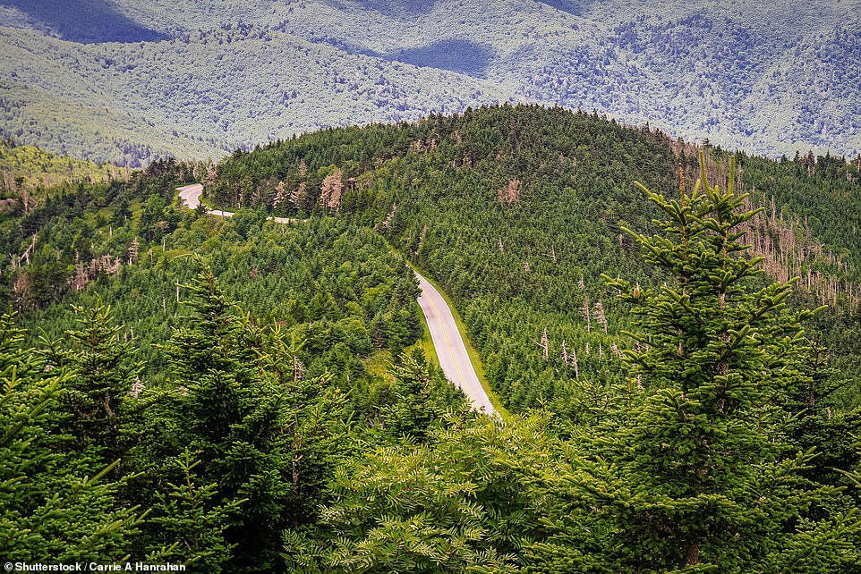 4. Blue Ridge Parkway, USA 5. North Coast 500, Scotland, 4. Blue Ridge Parkway, USA, 3. Great Ocean Road, Australia, 2. Wild Atlantic Way, Ireland, 1. Route 66, USA