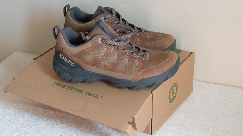 13. Oboz Sawtooth X Low 1. Salomon X Ultra 4 GTX, 2. Merrell Moab 3, 3. HOKA Anacapa Low GTX, 4. Altra Lone Peak 8, 5. La Sportiva Spire GTX, 6. Adidas Terrex Swift R3, 7. KEEN Targhee III Waterproof, 8. Lowa Renegade GTX Mid, 9. Scarpa Rush TRK GTX, 10. The North Face Vectiv Exploris 2, 11. Columbia Facet 75 Outdry, 12. Vasque Breeze LT NTX, 13. Oboz Sawtooth X Low, 14. Danner Trail 2650, 15. Arc'teryx Aerios FL GTX, 16. Inov-8 Roclite G 345, 17. Asolo Falcon GV, 18. ECCO Biom 2.1 X Country, 19. Timberland Garrison Trail, 20. Jack Wolfskin Force Striker Texapore