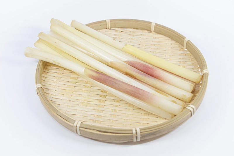 ちょっと脇役イメージな“みょうが”を解説, よく食べている「みょうが」は花のつぼみ部分, 栄養ポイントは特有の香りと紅色、食感にあり, 「みょうが」の言い伝えには根拠なし
