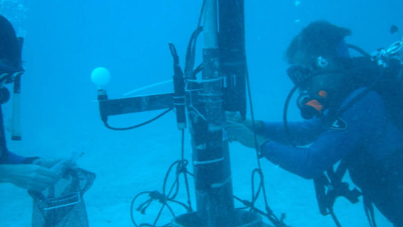 Naval Survey Mission Underwater Time Capsule, Accidental Discovery, Naval Survey Mission, Sonar Detection, Record-Breaking Depth, Previous Depth Record, Strategic Location, Strategic Location (Cont.), Ship Identification, Mediterranean Trade Routes, Venetian And Genoese Dominance, Italian Ceramic Origins, Key Ligurian Crafts, Ceramics, Religious Pottery Markings, Religious Pottery Markings (Cont.), Cargo Distribution, Weaponry Arsenal, Carvel Construction, Perfect Preservation, Modern Pollution, Environmental Impact, Maritime Heritage