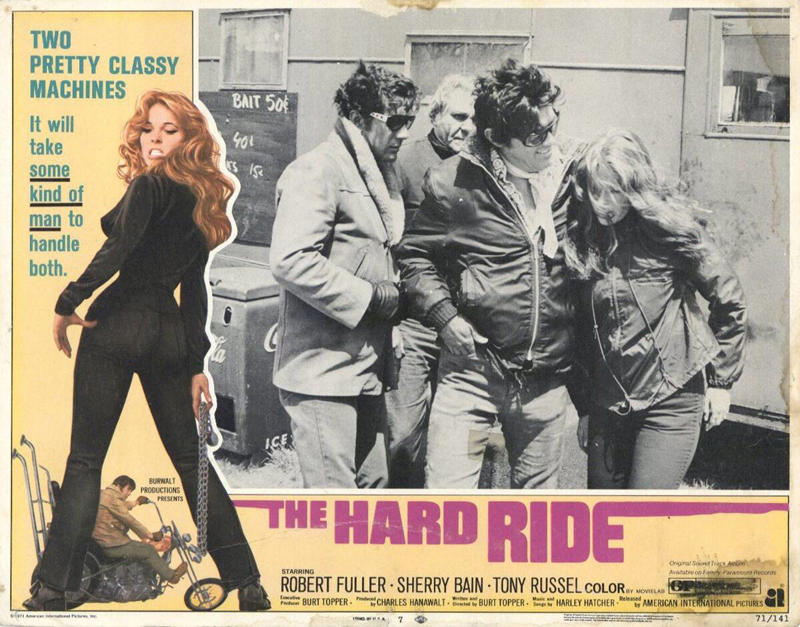 Beyond The Law (1993), Wild Hogs (2007), Devil's Angels (1967), Stone Cold (1991), Hells Angels On Wheels (1967), Every Which Way But Loose (1978), Hell Ride (2008), Roadside Prophets, Satan's Sadist, The Girls From Thunder Strip, Bury Me An Angel, Hell's Belles, The Born Losers (1967), The Loveless, The Hard Ride, Eye Of The Tiger, Easy Rider (1969), The Wild One (1953)