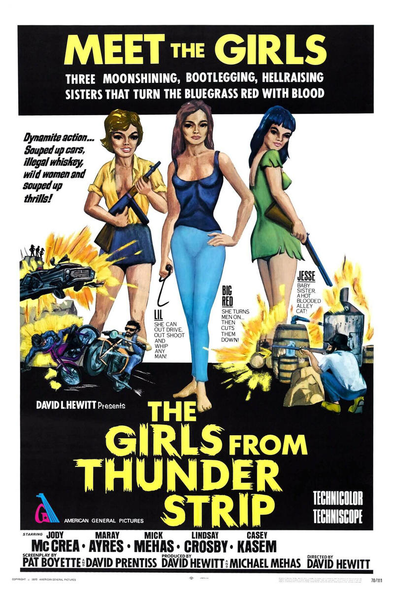Beyond The Law (1993), Wild Hogs (2007), Devil's Angels (1967), Stone Cold (1991), Hells Angels On Wheels (1967), Every Which Way But Loose (1978), Hell Ride (2008), Roadside Prophets, Satan's Sadist, The Girls From Thunder Strip, Bury Me An Angel, Hell's Belles, The Born Losers (1967), The Loveless, The Hard Ride, Eye Of The Tiger, Easy Rider (1969), The Wild One (1953)