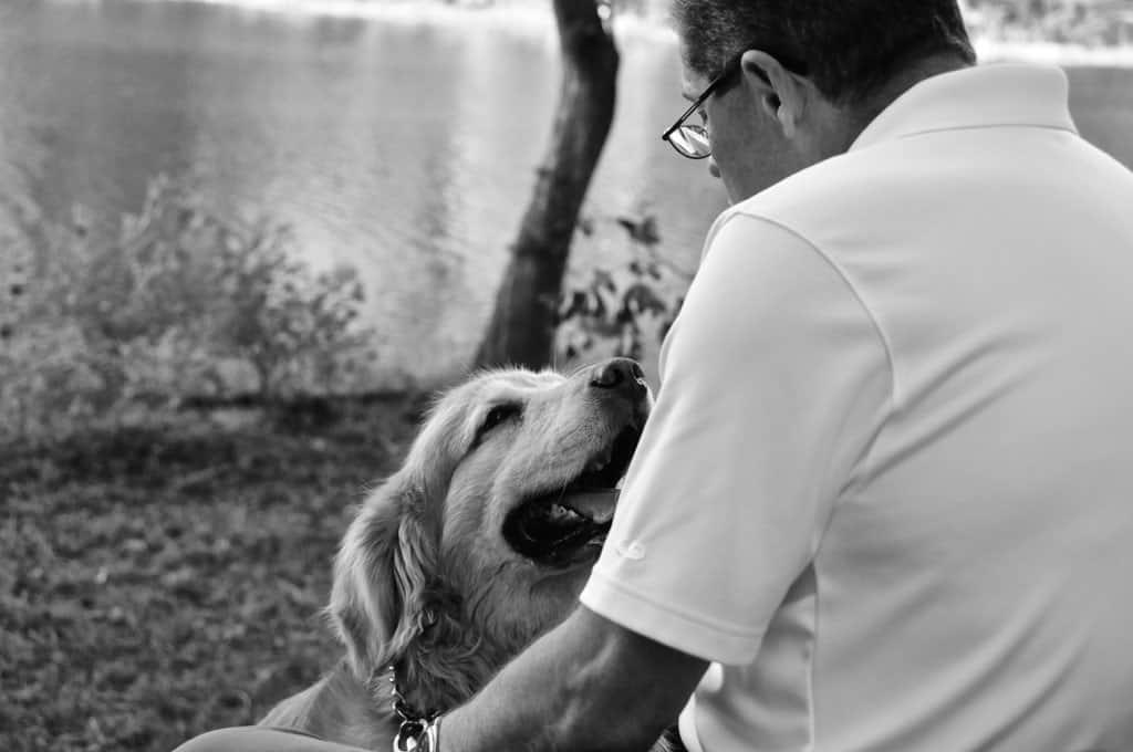 The Way Dogs Can Tell When You’re Sad The Science of Canine Emotional Recognition, Scent Detection of Emotional Changes, Facial Expression Recognition, Behavioral Changes Detection, Auditory Cues and Voice Recognition, Empathy and Emotional Contagion, The Role of Oxytocin in Emotional Bond, Breed Differences in Emotional Sensitivity, The Impact of Training on Emotional Detection, Comforting Behaviors Dogs Display, When Emotional Detection Goes Wrong, Strengthening Your Emotional Bond