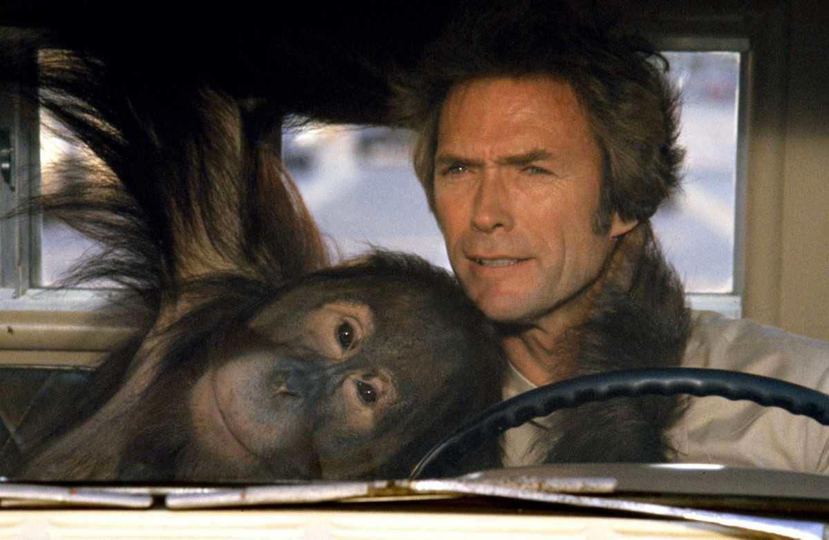 Beyond The Law (1993), Wild Hogs (2007), Devil's Angels (1967), Stone Cold (1991), Hells Angels On Wheels (1967), Every Which Way But Loose (1978), Hell Ride (2008), Roadside Prophets, Satan's Sadist, The Girls From Thunder Strip, Bury Me An Angel, Hell's Belles, The Born Losers (1967), The Loveless, The Hard Ride, Eye Of The Tiger, Easy Rider (1969), The Wild One (1953)