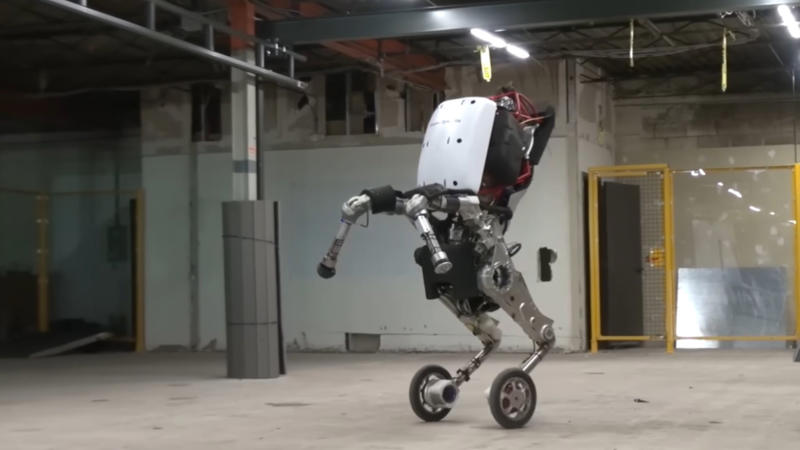 1. Sophia: The World’s First Robot Citizen, 2. Spot: Boston Dynamics’ Agile Robot, 3. ASIMO: Honda’s Human-Like Robot, 4. Pepper: The Emotional Companion Robot, 5. Handle: The Robot With Wheels And Legs, 6. RoboBee: Harvard’s Flying Micro Robot, 7. Curiosity Rover: Mars Explorer, 8. Roomba: The Autonomous Vacuum Cleaner, 9. NAO: The Humanoid Robot For Education, 10. Xenobots: The First Living Robots, 11. Kuri: The Home Robot Companion, 12. T-HR3: Toyota’s Humanoid Robot, 13. BigDog: The Robot Mule, 14. Aibo: Sony’s Robotic Dog, 15. Cheetah: Boston Dynamics’ Fast Robot, 16. FURo: The Robot Designed To Care For The Elderly, 17. Robonaut 2: NASA’s Space Robot, 18. Optimus: The Evolving Robot Of The Future, 19. The RoboGlove: NASA’s Helping Hand, 20. Cassie: The Bipedal Robot That Walks Like A Human