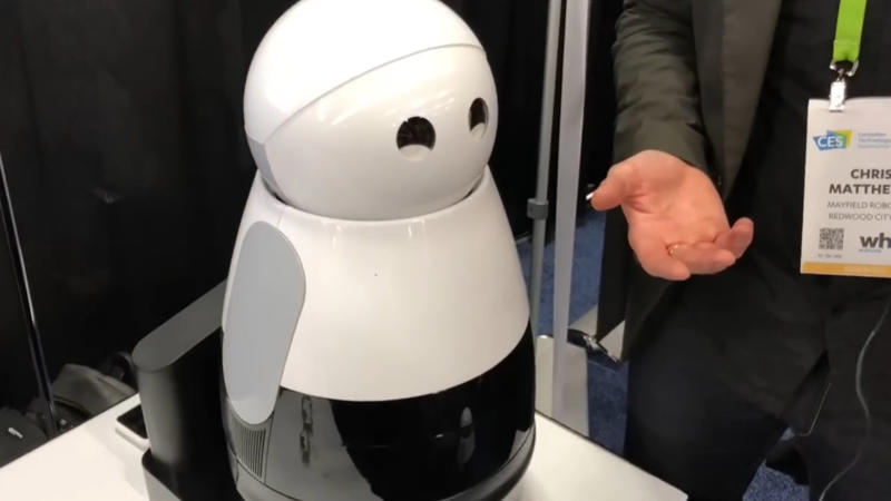 1. Sophia: The World’s First Robot Citizen, 2. Spot: Boston Dynamics’ Agile Robot, 3. ASIMO: Honda’s Human-Like Robot, 4. Pepper: The Emotional Companion Robot, 5. Handle: The Robot With Wheels And Legs, 6. RoboBee: Harvard’s Flying Micro Robot, 7. Curiosity Rover: Mars Explorer, 8. Roomba: The Autonomous Vacuum Cleaner, 9. NAO: The Humanoid Robot For Education, 10. Xenobots: The First Living Robots, 11. Kuri: The Home Robot Companion, 12. T-HR3: Toyota’s Humanoid Robot, 13. BigDog: The Robot Mule, 14. Aibo: Sony’s Robotic Dog, 15. Cheetah: Boston Dynamics’ Fast Robot, 16. FURo: The Robot Designed To Care For The Elderly, 17. Robonaut 2: NASA’s Space Robot, 18. Optimus: The Evolving Robot Of The Future, 19. The RoboGlove: NASA’s Helping Hand, 20. Cassie: The Bipedal Robot That Walks Like A Human