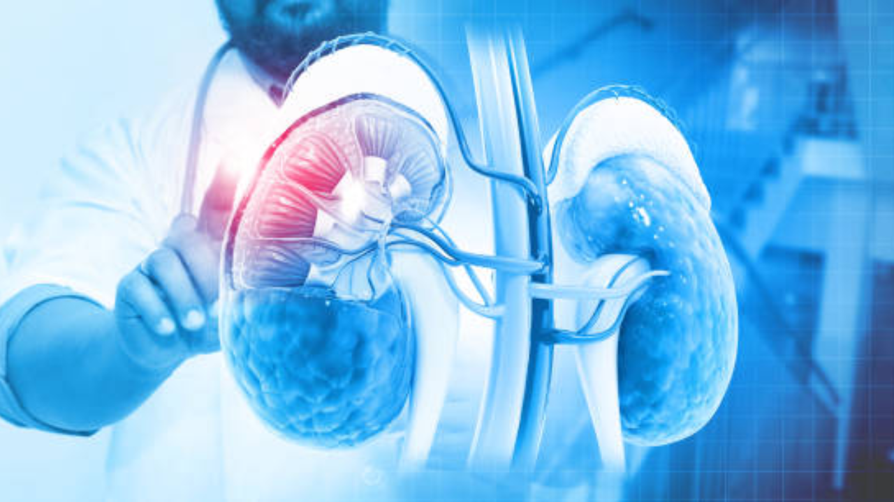 Kidney issues don't start overnight Kidney issues don't start overnight, Persistent fatigue and weakness, Alteration of urination habits, Swelling in the feet, ankles, or face, Persistent itching or skin changes, Loss of appetite, metallic taste, or nausea, When to seek help