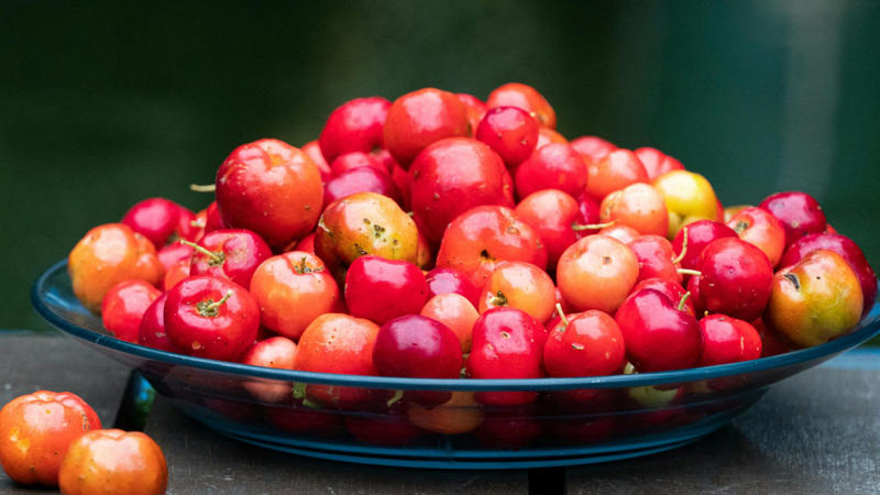 1. Boosts Collagen, 2. Powers Up Immune System, 3. Helps Wounds Heal Faster, 4. Fights Off Free Radical Damage, 5. Improves Iron Absorption, 6. May Lower Risk Of Heart Disease, 7. Supports Brain Health And Mood, 8. Eases Common Cold Severity, 9. Reduces Gout Flare-Ups, 10. Healthy Gums And Teeth, 1. Red Bell Peppers, 3. Broccoli, 4. Strawberries, 5. Guava, 6. Brussels Sprouts, 7. Papaya, 9. Chili Peppers, 10. Acerola Cherry