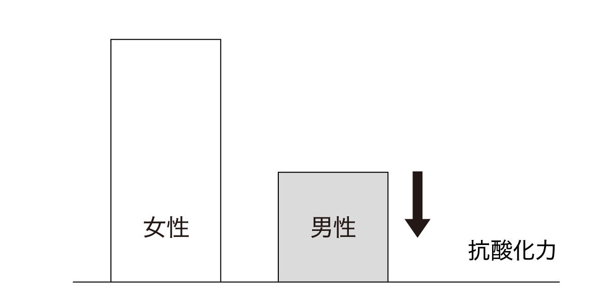 肌のベタベタは“乾燥”のせい！勘違いを正し、整えよう。, 洗う｜汚れは泡で絡め取り、肌は極力こすらない。, 潤す｜角層を潤いで満たせば、トラブルが出にくい肌に。, 攻める｜悩みを見極めて選ぶか、肌を底上げするものを。, 守る｜日焼け止めの日常使いで、肌は鉄壁の守りとなる。