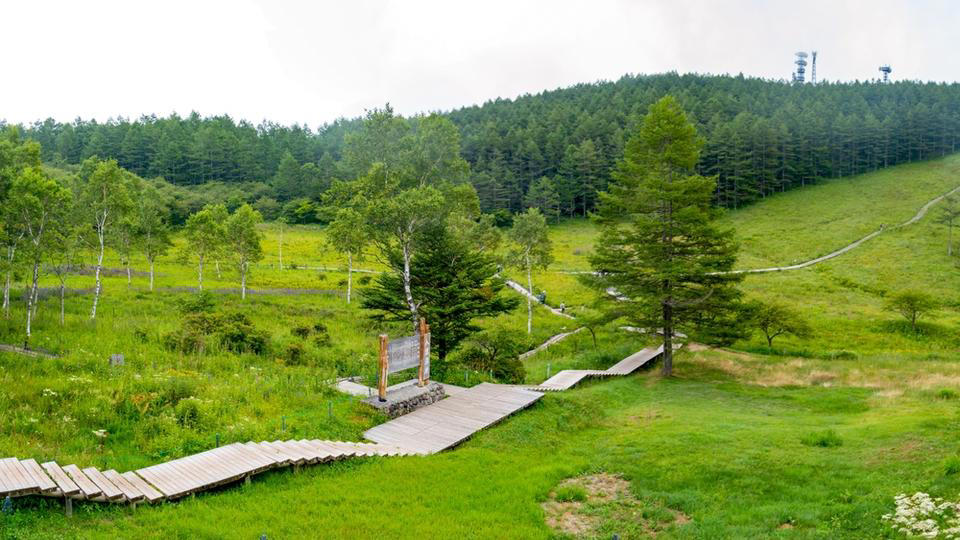 5位　志賀高原（長野県）, 4位　清里高原（山梨県）, 3位　富士見高原（長野県）, 2位　玉原高原（群馬県）, 1位　那須高原（栃木県）