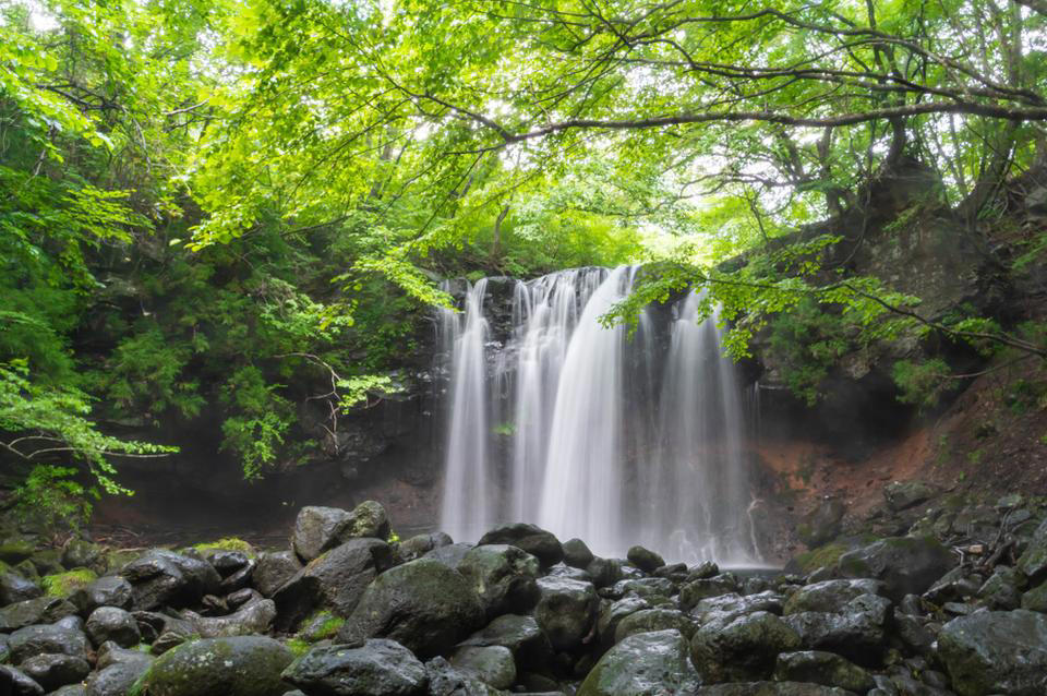 5位　志賀高原（長野県）, 4位　清里高原（山梨県）, 3位　富士見高原（長野県）, 2位　玉原高原（群馬県）, 1位　那須高原（栃木県）
