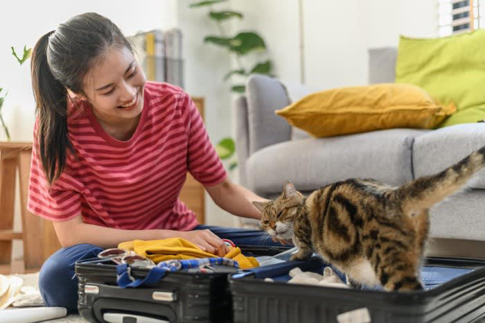 1.泊まりがけの外出のときにどうするか, 2.猫と暮らすのに十分な部屋か, 3.お留守番のときの対応について, 4.あなたに、もしものことがあったら？, 5.最後まで面倒を見られるか