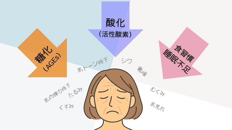肌の老化は“体の中”からゆっくり進みます, こんな朝食、なんとなく続けていませんか？, 肌も体も喜ぶ、朝のちょい足しポイント, 忙しい朝でもできる、おすすめの組み合わせ
