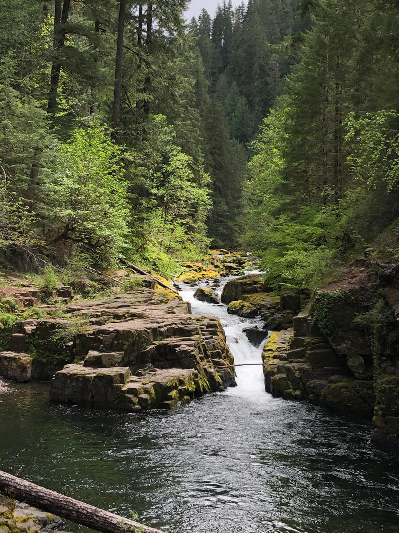 Closer to Salem, North Santiam County Park, Little North Fork Park, Bear Creek Park, Little North Santiam swimming holes , Quartzville Creek , Spong's Landing County Park, Scotts Mills Falls , Larwood Covered Bridge Wayside , Foster Lake , Detroit Lake, Breitenbush Road 46, Mount Jefferson Wilderness lakes, Santiam Pass lakes, McDowell Creek Falls County Park, River Bend County Park, Cascadia County Park , Trout Creek/Yukwah/House Rock campgrounds, Closer to Eugene, Triangle Lake waterslides , Coastal Lakes: Cleawox, Woahink, Loon, Siltcoos , Hayden Bridge County Boat Landing, Fall Creek, Dorena Lake, Dexter Reservoir, Row River (Wildwood Falls) , Odell and Crescent lakes , Blue River and Cougar reservoirs , Salmon Creek Falls Day Use Area, Fern Ridge Reservoir , Northern Willamette Valley / Portland area, Big Eddy Picnic Site , Clackamas River swimming spots, Three Bears Recreation Site , Lewis and Clark State Recreation Site 