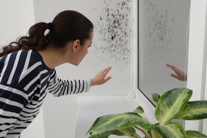 Dust and mold Sleeping position, Dust and mold, Humidifiers, Sleeping with a pet nearby, Indoor pollen, Symptoms can make it difficult, Dust or mold in the bedroom, Use HEPA purifiers, Close your windows, Allergy medications, Time of day that allergies peak