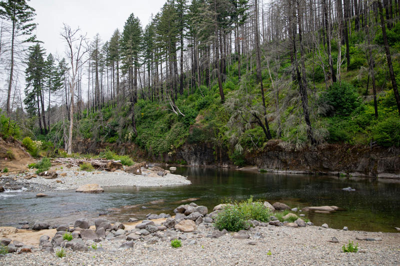 Closer to Salem, North Santiam County Park, Little North Fork Park, Bear Creek Park, Little North Santiam swimming holes , Quartzville Creek , Spong's Landing County Park, Scotts Mills Falls , Larwood Covered Bridge Wayside , Foster Lake , Detroit Lake, Breitenbush Road 46, Mount Jefferson Wilderness lakes, Santiam Pass lakes, McDowell Creek Falls County Park, River Bend County Park, Cascadia County Park , Trout Creek/Yukwah/House Rock campgrounds, Closer to Eugene, Triangle Lake waterslides , Coastal Lakes: Cleawox, Woahink, Loon, Siltcoos , Hayden Bridge County Boat Landing, Fall Creek, Dorena Lake, Dexter Reservoir, Row River (Wildwood Falls) , Odell and Crescent lakes , Blue River and Cougar reservoirs , Salmon Creek Falls Day Use Area, Fern Ridge Reservoir , Northern Willamette Valley / Portland area, Big Eddy Picnic Site , Clackamas River swimming spots, Three Bears Recreation Site , Lewis and Clark State Recreation Site 