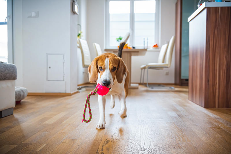 Indoor pollen Sleeping position, Dust and mold, Humidifiers, Sleeping with a pet nearby, Indoor pollen, Symptoms can make it difficult, Dust or mold in the bedroom, Use HEPA purifiers, Close your windows, Allergy medications, Time of day that allergies peak