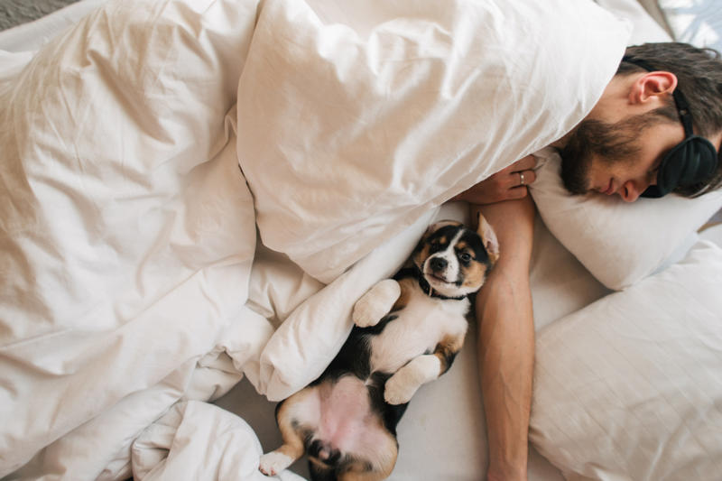 Sleeping with a pet nearby Sleeping position, Dust and mold, Humidifiers, Sleeping with a pet nearby, Indoor pollen, Symptoms can make it difficult, Dust or mold in the bedroom, Use HEPA purifiers, Close your windows, Allergy medications, Time of day that allergies peak