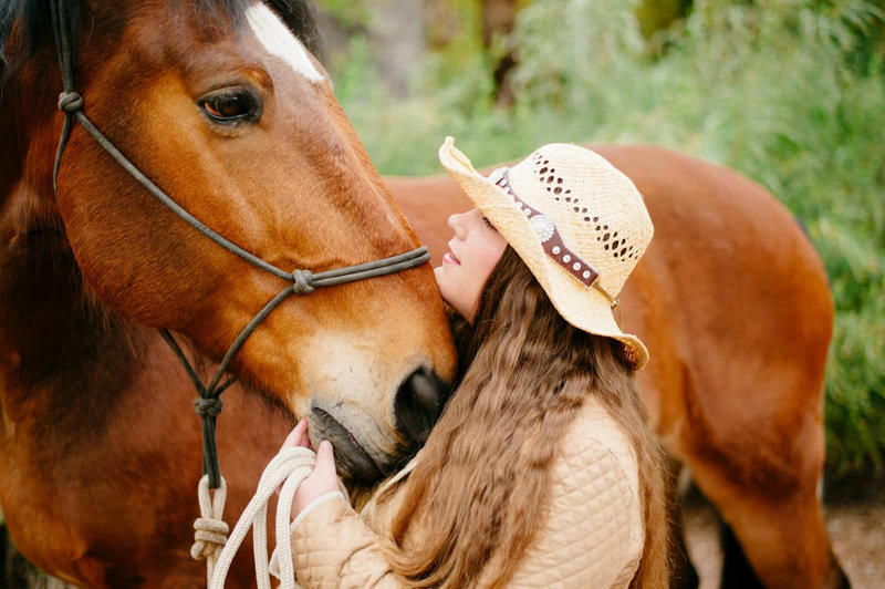 What Horses Teach Us About Nonverbal Communication The Silent Language of Prey Animals, Horses as Biofeedback Mechanisms, The Herd Hierarchy: Leadership Through Nonverbal Authority, Reading Micro-Expressions: The Subtle Cues of Equine Communication, Pressure and Release: The Foundation of Clear Communication, Energetic Awareness: The Invisible Dimension of Communication, Congruence: When Inside Matches Outside, Nonverbal Communication Across Species Boundaries, The Space Between: Proxemics and Boundaries, Timing and Rhythm: The Temporal Dimension of Communication, From Barn to Boardroom: Practical Applications