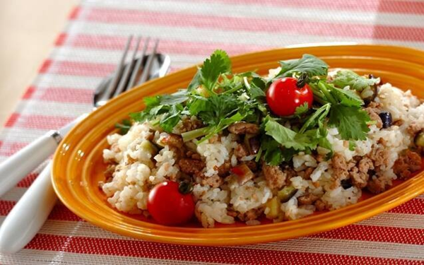 ナスとひき肉のエスニック炒め, エスニックモヤシオムレツ, ナスとひき肉のエスニック混ぜご飯, 春雨のエスニック丼, トマトエスニックうどん