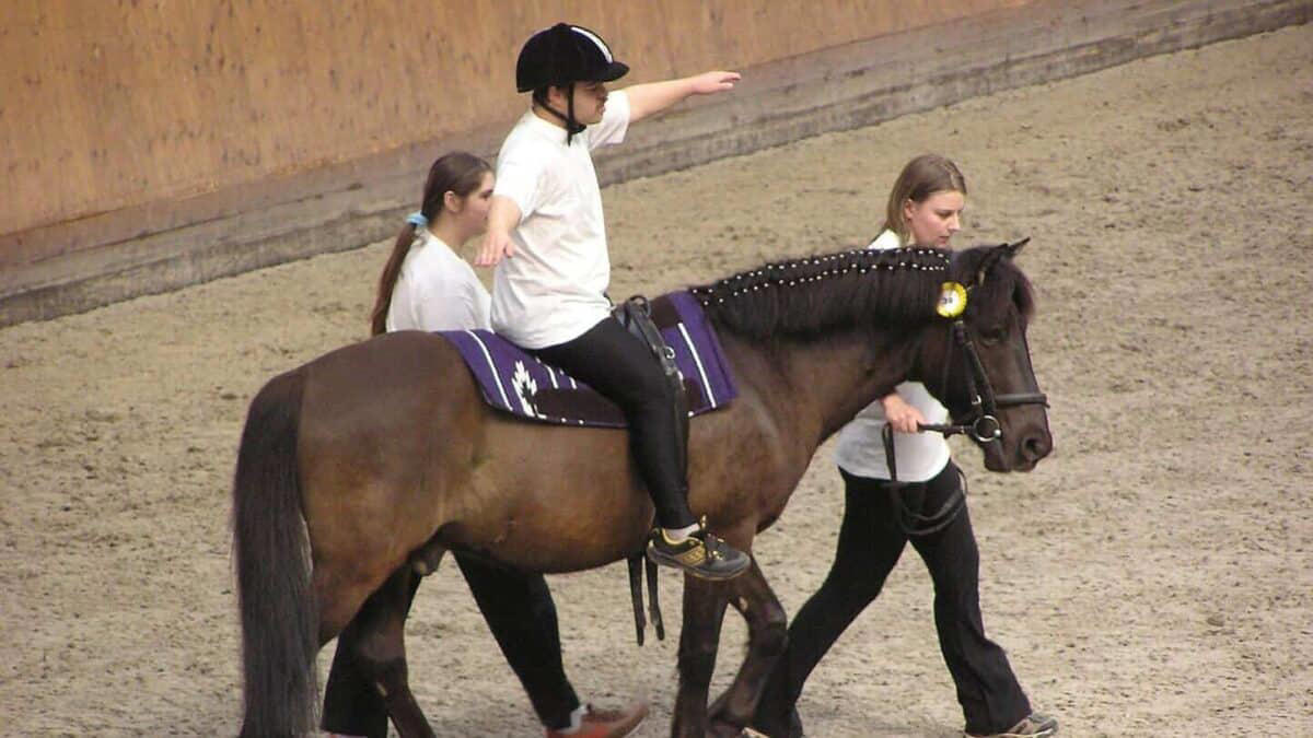 From Barn to Boardroom: Practical Applications The Silent Language of Prey Animals, Horses as Biofeedback Mechanisms, The Herd Hierarchy: Leadership Through Nonverbal Authority, Reading Micro-Expressions: The Subtle Cues of Equine Communication, Pressure and Release: The Foundation of Clear Communication, Energetic Awareness: The Invisible Dimension of Communication, Congruence: When Inside Matches Outside, Nonverbal Communication Across Species Boundaries, The Space Between: Proxemics and Boundaries, Timing and Rhythm: The Temporal Dimension of Communication, From Barn to Boardroom: Practical Applications