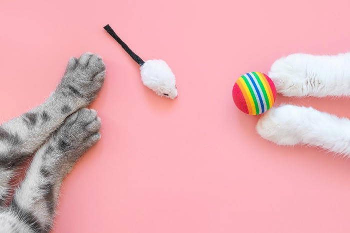 猫の『おもちゃ』は定期的に洗濯したほうがいい？, 猫おもちゃをメンテナンスすべき3つの理由, 1.清潔な状態を保つため, 2.誤飲やケガを防ぐため, 3.におい対策をするため, 猫おもちゃのお手入れポイント