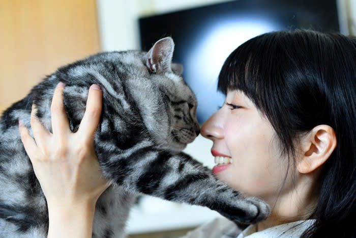 猫の性格は育て方で変わる？, フレンドリーな猫に育てるための5つの心得, 1.子猫期からたくさん触れ合う, 2.優しく、安心できる声や動きで接する, 3.無理に触らず、自分から来るのを待つ, 4.短時間でも毎日コミュニケーションをとる, 5.家族以外の人や音にも少しずつ慣れさせる, 人馴れしている猫のメリットとは？, 通院や介護がしやすい, 災害時や避難時のストレスが少ない, 家族との絆が深まりやすい, 問題行動が起きにくい