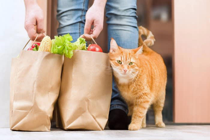 1.飼い主の気持ちに寄り添う, 2.嫌なことをされても信頼を失わない, 3.叱られても「脅された」と感じない, 4.長時間の留守番でも心が安定している, 5.適度に遊び心がある