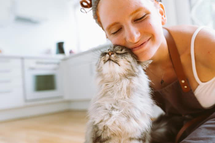 1.飼い主の気持ちに寄り添う, 2.嫌なことをされても信頼を失わない, 3.叱られても「脅された」と感じない, 4.長時間の留守番でも心が安定している, 5.適度に遊び心がある