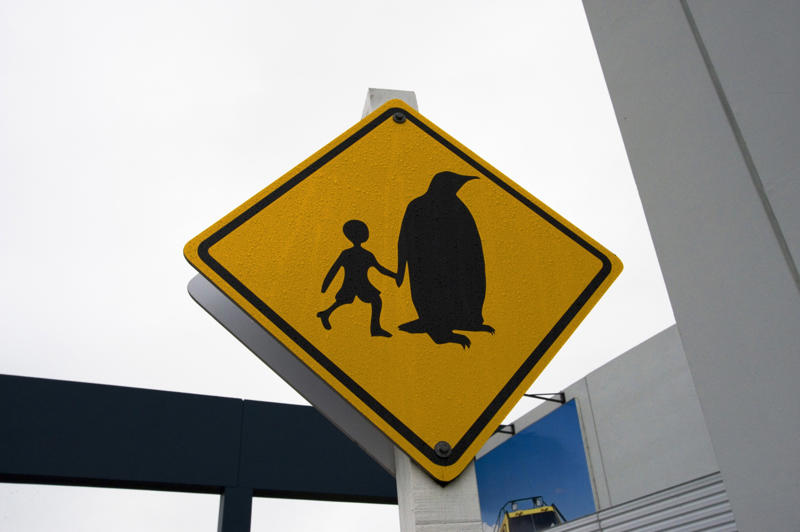 Chill out—penguins ahead Chill out—penguins ahead, Slow down, we’re still speedy (sometimes), Love you, now move it, Please keep off the tank, Watch out for the cassowary!, Signs that make you think, Cat crossing, or feline takeover?, Watch for nighttime flyers, Segway zone ahead, Foxes on patrol, Australia’s wild roadside neighbors, No tension allowed, Slow down—Dad’s working!