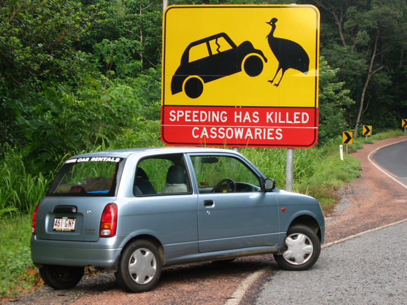 Watch out for the cassowary! Chill out—penguins ahead, Slow down, we’re still speedy (sometimes), Love you, now move it, Please keep off the tank, Watch out for the cassowary!, Signs that make you think, Cat crossing, or feline takeover?, Watch for nighttime flyers, Segway zone ahead, Foxes on patrol, Australia’s wild roadside neighbors, No tension allowed, Slow down—Dad’s working!