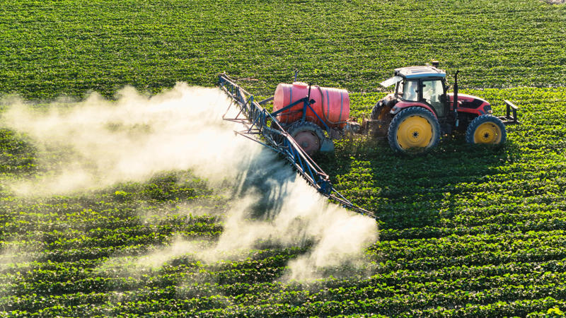 How farming chemicals may be hurting fireflies From warning signal to summer romance, The magical firefly show, Nature sets the date, Where fireflies light up North America, What fireflies need to survive, How lights are dimming the firefly glow, Why firefly larvae need humidity, How farming chemicals may be hurting fireflies, Not all fireflies face the same threat, Local species are in trouble, Why knowing firefly species matters, How data and tech are helping save fireflies