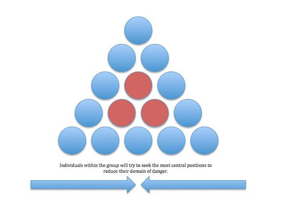 Evolutionary Origins of Herd Behavior, Predator Protection: Safety in Numbers, The Social Structure of Horse Herds, Communication Networks Within Herds, The Physiology of Herd Bonding, Collective Intelligence and Decision-Making, The Development of Social Skills in Foals, Running Together: Synchronized Movement, Emotional Contagion: Shared Feelings, The Impact of Domestication on Herd Behavior, Long-Term Relationships and Recognition