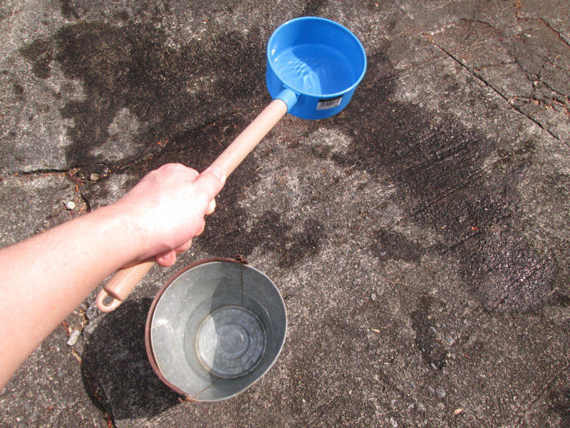 1. 水回りの掃除に活用する, 2. 靴洗いに活用する, 3. 洗車に活用する, 4. 打ち水として活用する, 5. 花の水やりに活用する