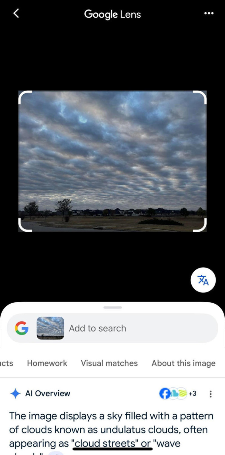 Translate signs and menus on the spot, Verify vacation rentals before you book, Ask questions about what you see, Deep dive with the About this image feature, Summarize and translate text from a photo, Get souvenir details instantly when traveling