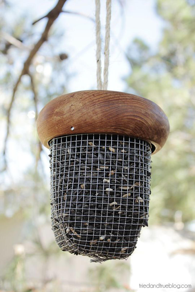 14) Acorn Bird Feeder 9) Soda Bottle Bird Feeder, 10) Tea Cup Bird Feeder, 11) Tea Cup Candle Sconce Bird Feeder, 12) Bird and Butterfly Water Feeder, 14) Acorn Bird Feeder, 15) Pine Cone Bird Feeders, 16) Glass Shade Bird Feeder