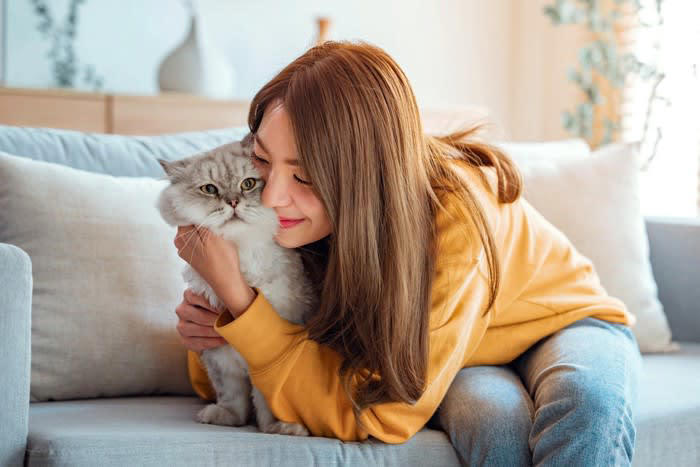 猫が人を慰める行動は本当に存在するのか？, 猫が『泣いている人を慰める』説は本当？考えられる3つの理由, 1.猫がにおい（フェロモン）の変化を感知し近寄るから, 2.猫が声や音の変化に反応して様子を見に来るから, 3.飼い主の行動パターンの変化を不思議がるから, 猫が見せる「寄り添い行動」, 頭や体をすり寄せる, そっと手や顔を舐める