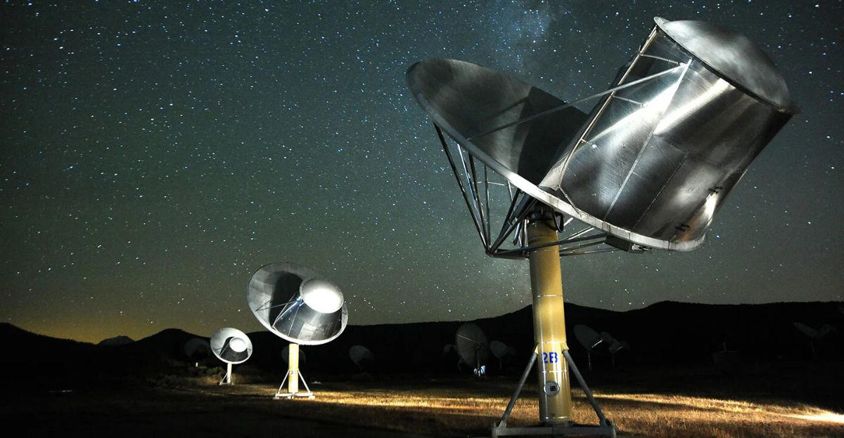 Humpback Whales, Bubble Rings, Intentional Displays, Communication In The Sea, Why Are They Doing It?, Aiding Extraterrestrial Research, Twain, The Whale, Changing Our Understanding Of Intelligence