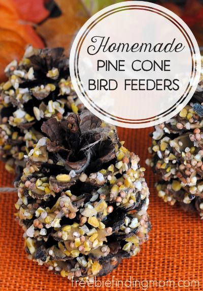 15) Pine Cone Bird Feeders 9) Soda Bottle Bird Feeder, 10) Tea Cup Bird Feeder, 11) Tea Cup Candle Sconce Bird Feeder, 12) Bird and Butterfly Water Feeder, 14) Acorn Bird Feeder, 15) Pine Cone Bird Feeders, 16) Glass Shade Bird Feeder