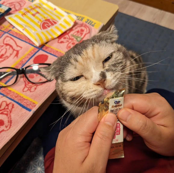 亡き愛猫と同じ模様を持つブリティッシュショートヘアーを迎えて, お迎えから2週間で愛猫が逝去, 保護猫の譲渡を断られて考えた「自分なりの猫助け」, 複数の店舗でたらいまわしにされていた生後6カ月の猫をお迎え, 7歳で「閉塞性肥大型心筋症」が発症, 肥大型心筋症との闘病中に発覚した「慢性腎不全」, 【ペットロスとの向き合い方】愛猫亡き後も“2つの後悔”に苦しんで…