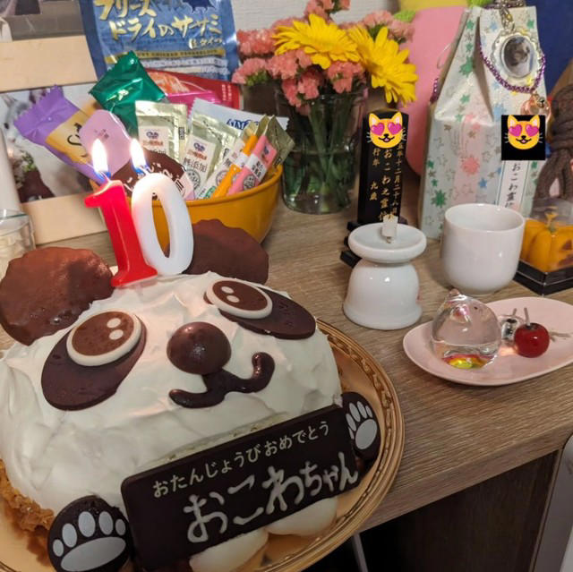 亡き愛猫と同じ模様を持つブリティッシュショートヘアーを迎えて, お迎えから2週間で愛猫が逝去, 保護猫の譲渡を断られて考えた「自分なりの猫助け」, 複数の店舗でたらいまわしにされていた生後6カ月の猫をお迎え, 7歳で「閉塞性肥大型心筋症」が発症, 肥大型心筋症との闘病中に発覚した「慢性腎不全」, 【ペットロスとの向き合い方】愛猫亡き後も“2つの後悔”に苦しんで…